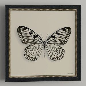 NIB Framed Butterfly Graphic Art Print